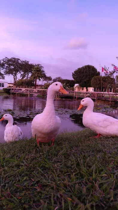 Lake Wales Campground 7