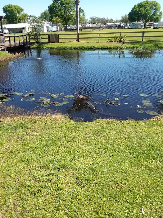 Camp Central RV Parks - North 4