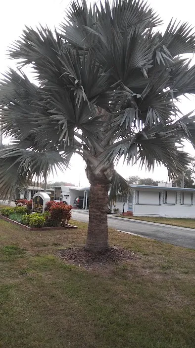 Hillcrest - Florida 4
