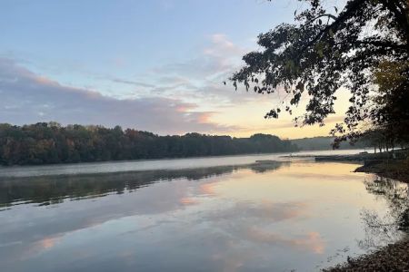 Lotterdale Cove