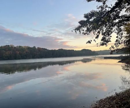 Lotterdale Cove