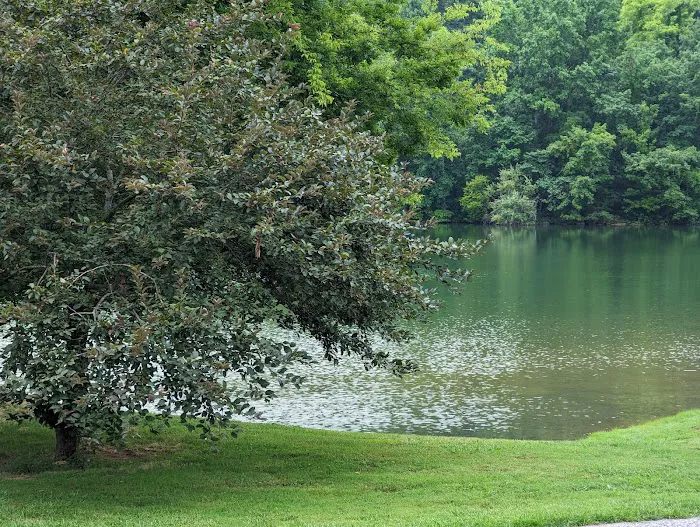 Lotterdale Cove 6