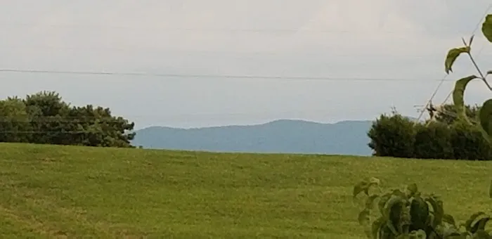 Maple Lane Park 1