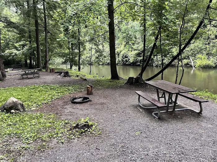 Abrams Creek Campground 2