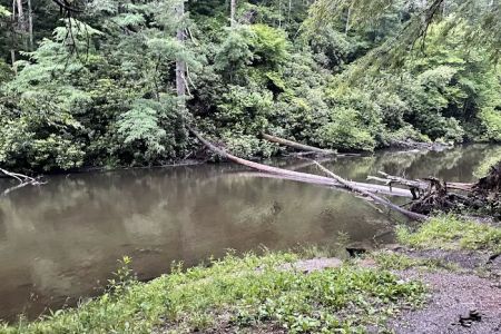 Abrams Creek Campground