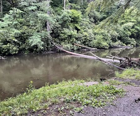 Abrams Creek Campground