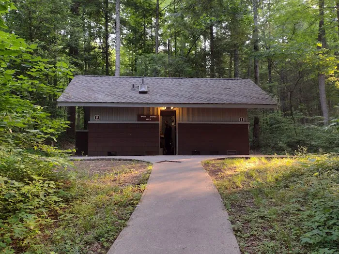 Abrams Creek Campground 3