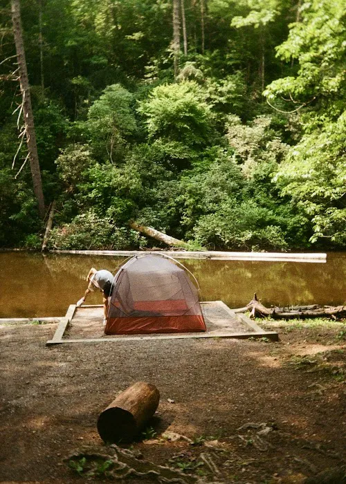 Abrams Creek Campground 9
