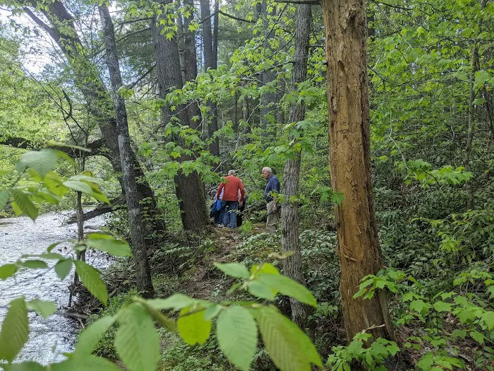 Abrams Creek Campground 8