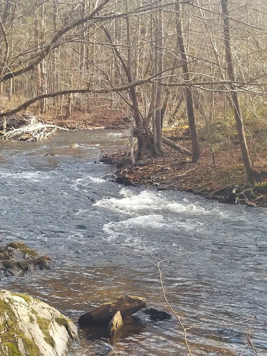 Abrams Creek Campground 7