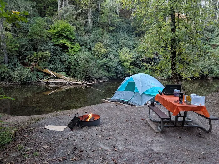 Abrams Creek Campground 10