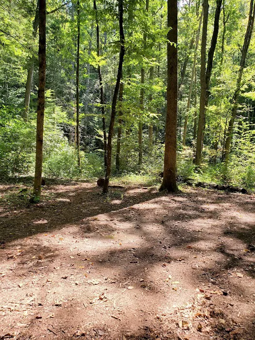 Backcountry Campsite 01 3