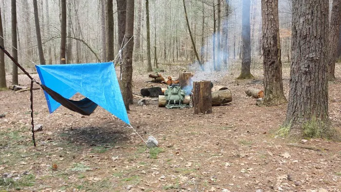 Backcountry Campsite 01 1