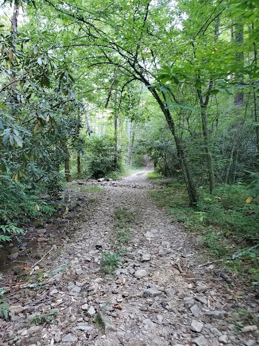 Backcountry Campsite 01 4