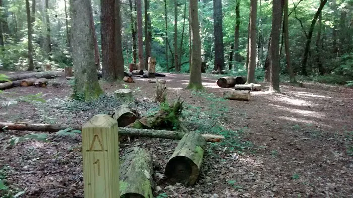 Backcountry Campsite 01 5