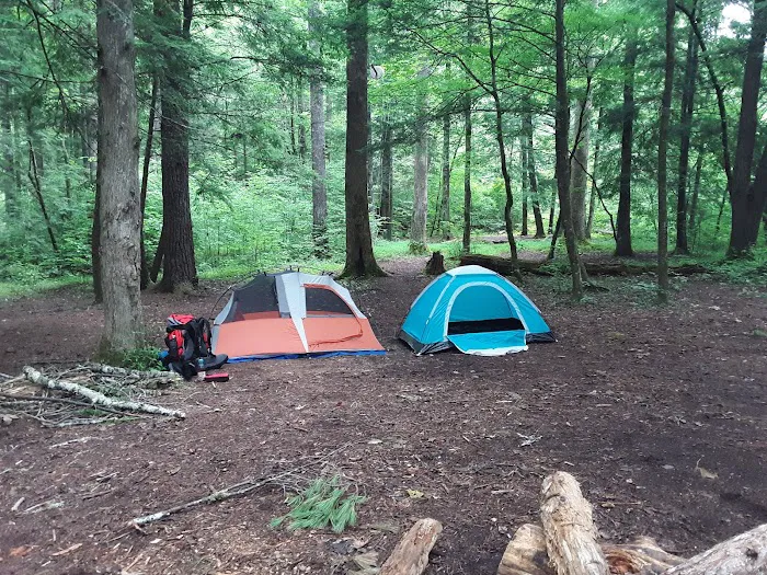 Backcountry Campsite #17 1