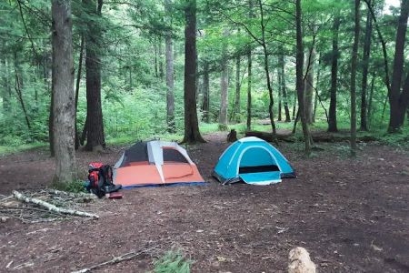 Backcountry Campsite #17