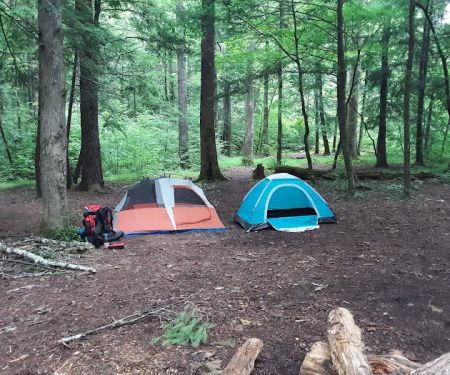 Backcountry Campsite #17