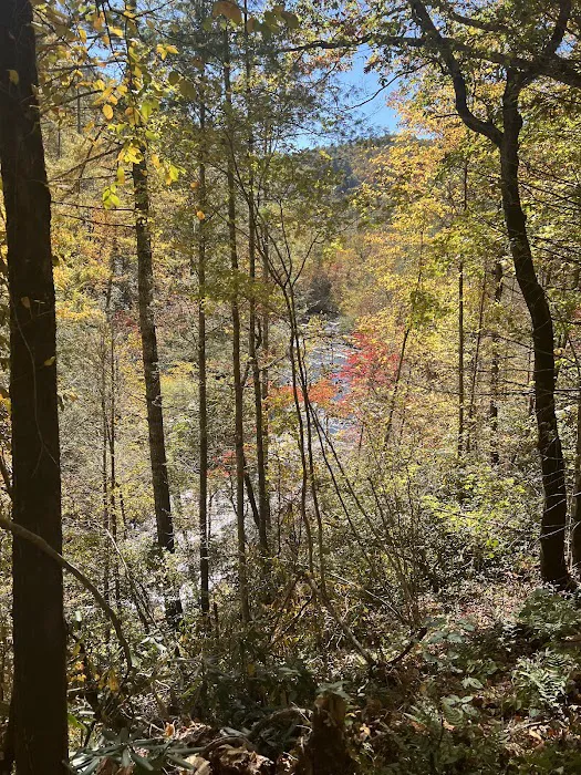 Backcountry Campsite #17 5