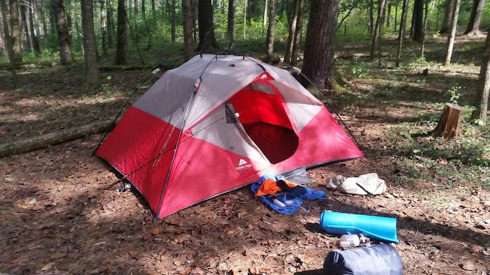Backcountry Campsite #17 4