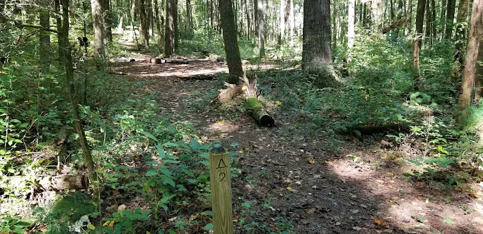 Backcountry Camp 02 4