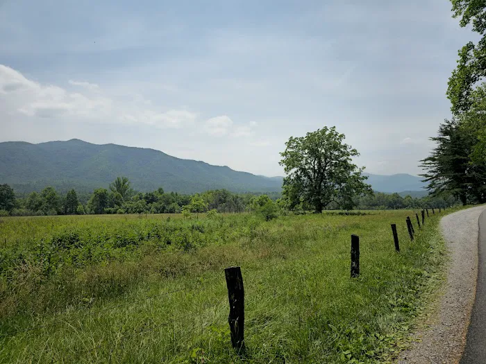 Cades Cove Campground 3