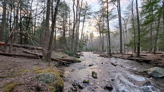 Cades Cove Campground 4