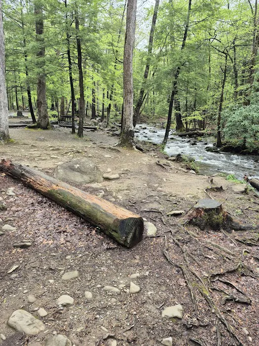 Cades Cove Campground 9