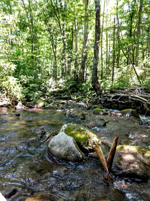 Anthony Creek Horse Camp 1