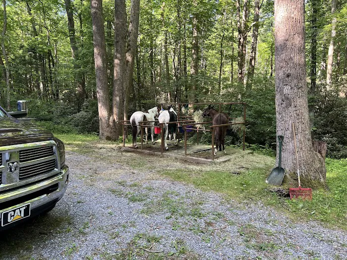 Anthony Creek Horse Camp 2