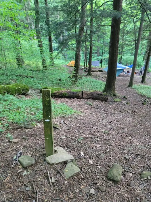 Backcountry Camp 09 6