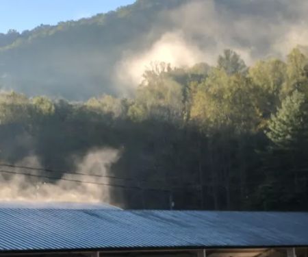 Orchard Cove Stables