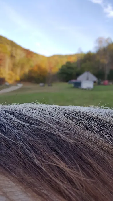 Orchard Cove Stables 2