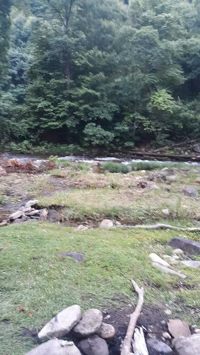 Laurel Bank Campground 5