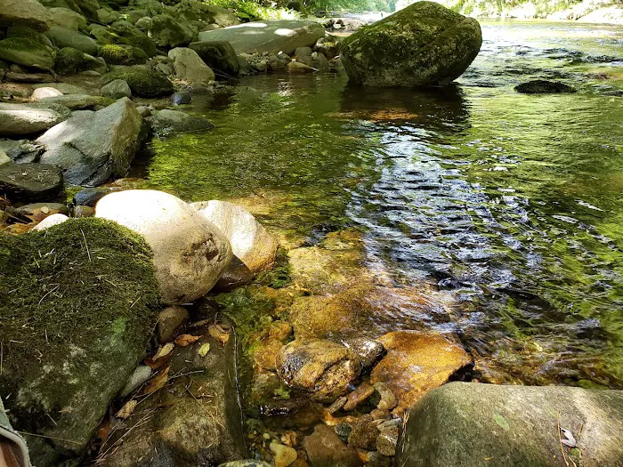 Laurel Bank Campground 6