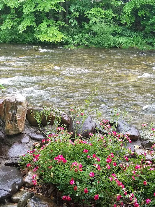 Laurel Bank Campground 9