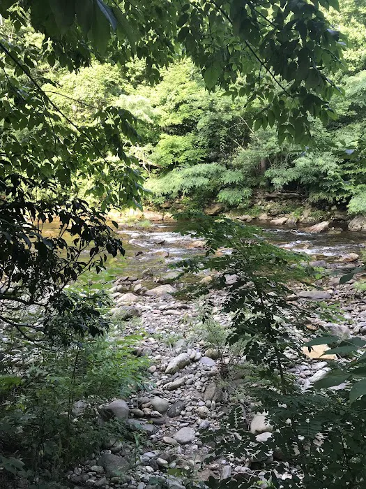 Laurel Bank Campground 7
