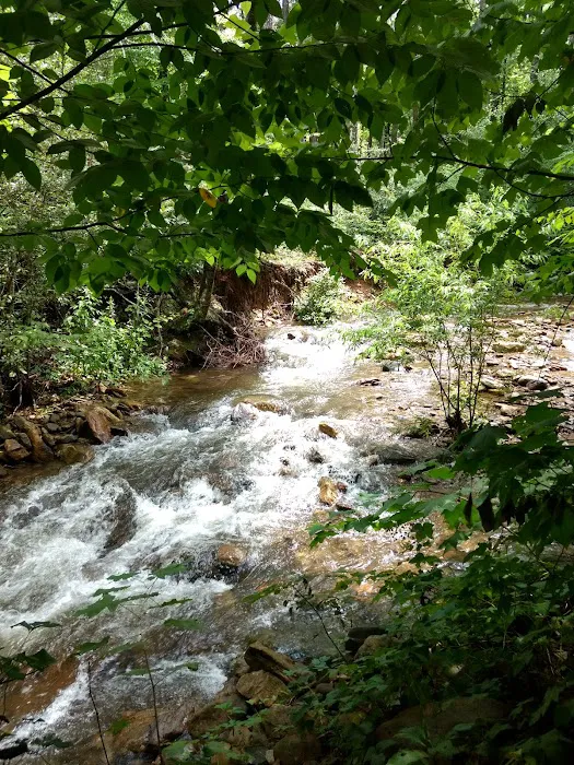 Stony Fork Creek RV Park 3