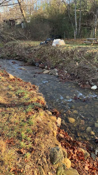 Stoney Creek Oasis 10