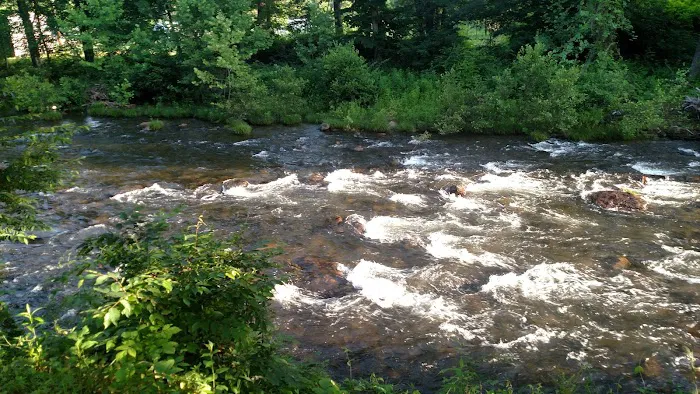 Pigeon River Campground 3
