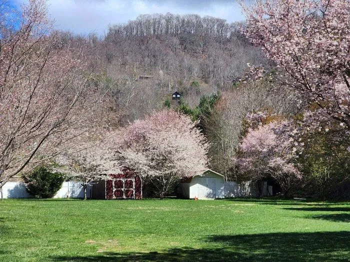 Pigeon River Campground 2