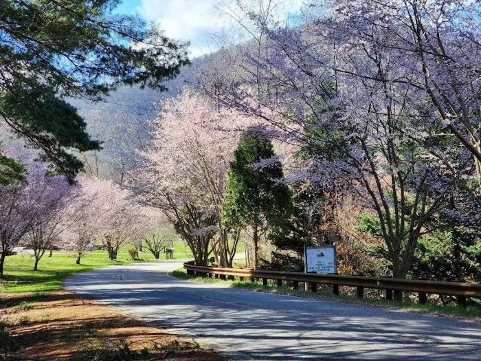 Pigeon River Campground 4