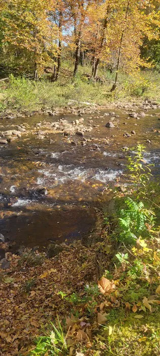 Pigeon River Campground 8