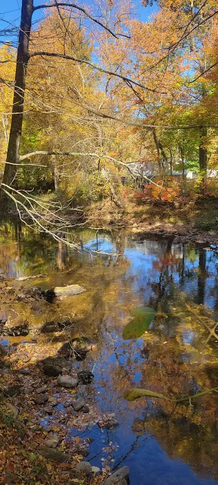 Pigeon River Campground 9