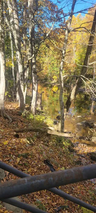Pigeon River Campground 7