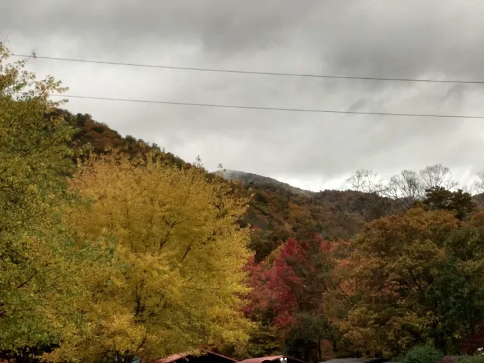 Mountain Shadows Campground 3