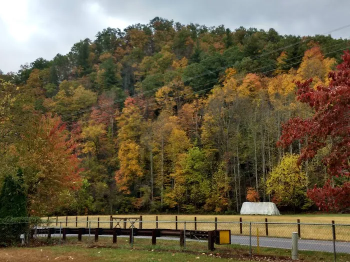 Mountain Shadows Campground 4