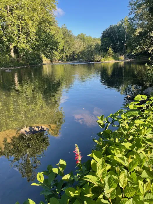 Riverhouse RV Resort 5