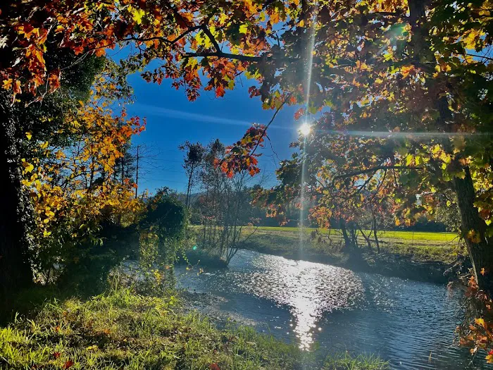Riverhouse RV Resort 3
