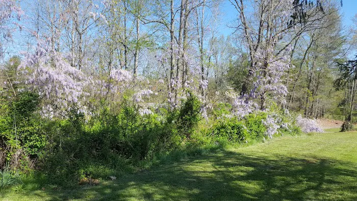 Walnut Ridge 7
